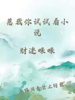 惹我你试试看小说