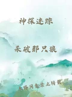 神探迷踪