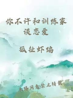 你不许和训练家谈恋爱