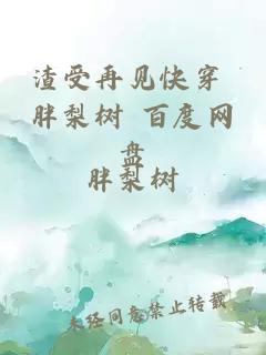 渣受再见快穿 胖梨树 百度网盘