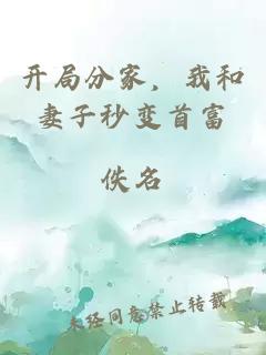 开局分家，我和妻子秒变首富
