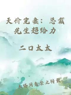 天价宠妻：总裁先生超给力