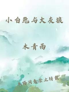 小白兔与大灰狼