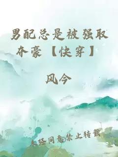 男配总是被强取夺豪【快穿】
