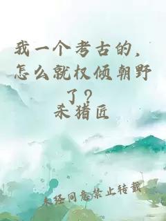 我一个考古的，怎么就权倾朝野了？